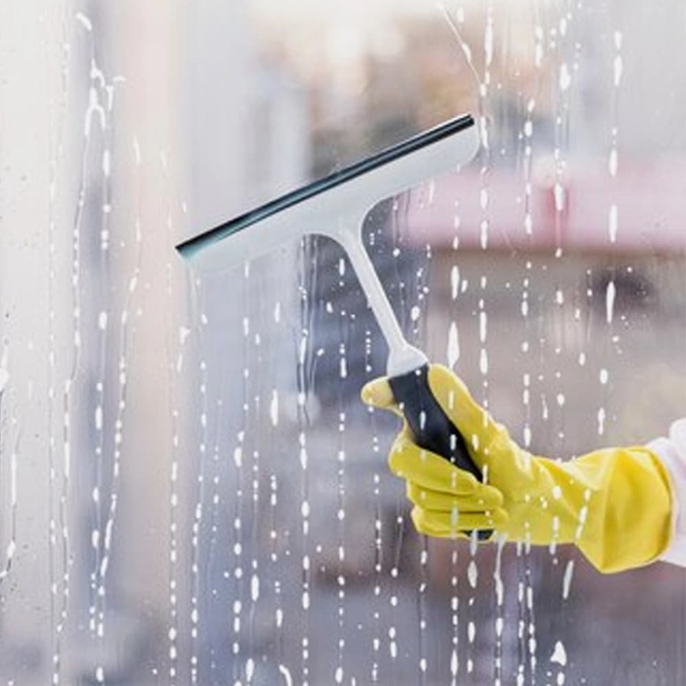 Professional cleaning service